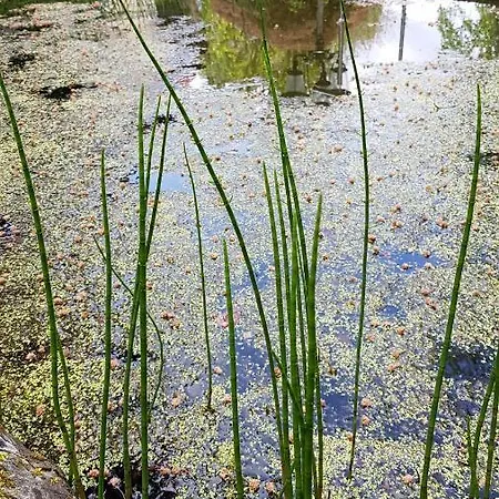 Bed & Breakfast Gloegglhof Trofaiach
