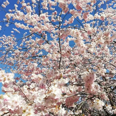 Bed & Breakfast Gloegglhof Trofaiach