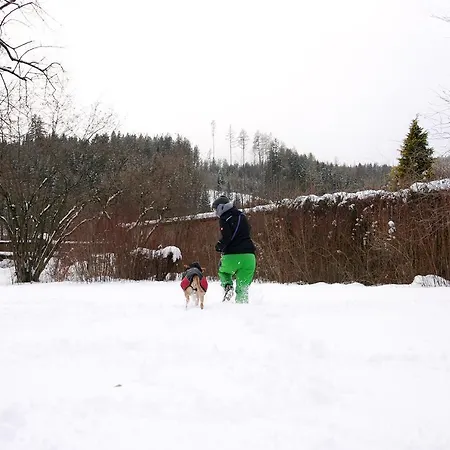 Bed & Breakfast Gloegglhof