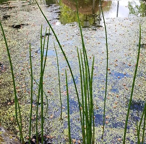 Bed & Breakfast Gloegglhof Trofaiach
