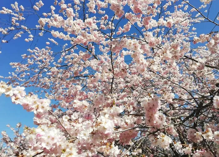 Bed & Breakfast Gloegglhof Trofaiach